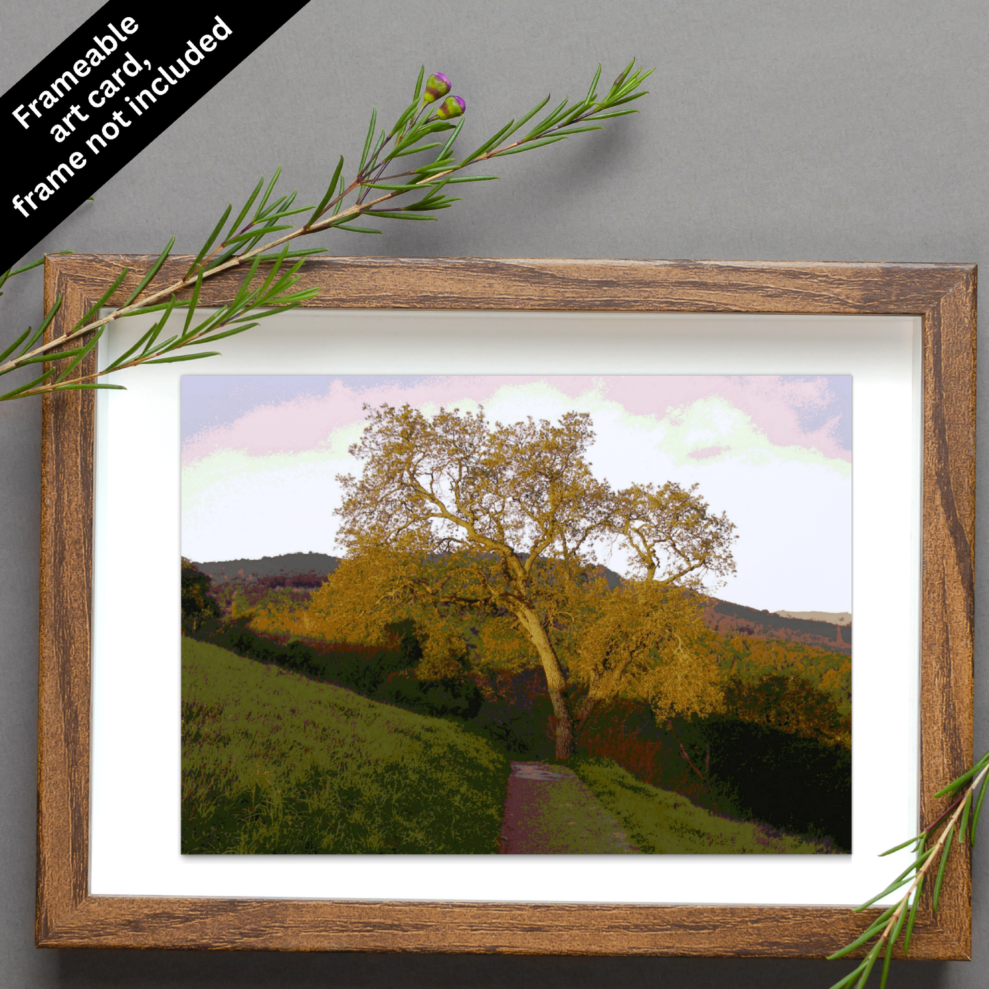 Card Title: Rancho Path