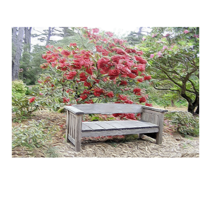 Wall Art: Sit With Me