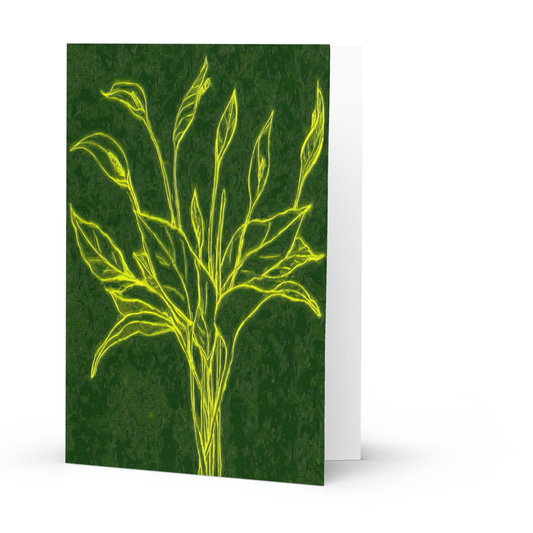 Card Title: Spring Up